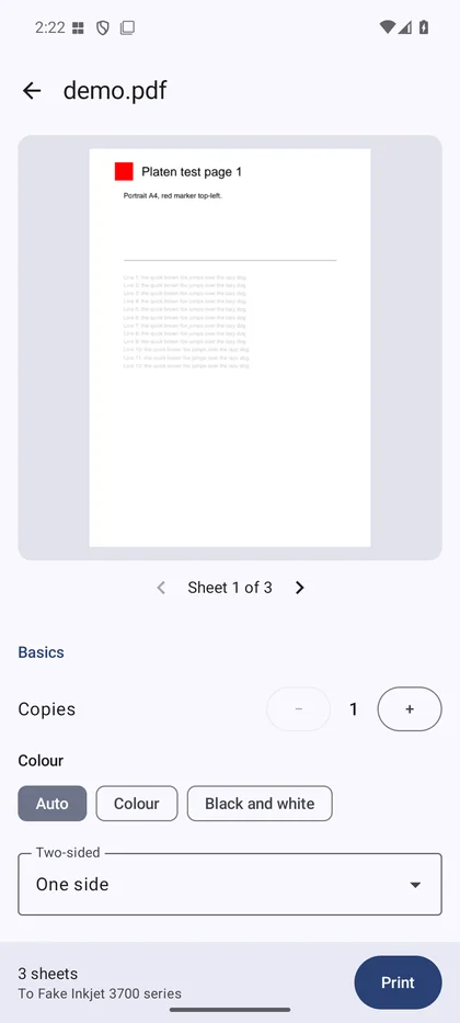 The print screen shows a page preview, copies, colour mode and two-sided options.